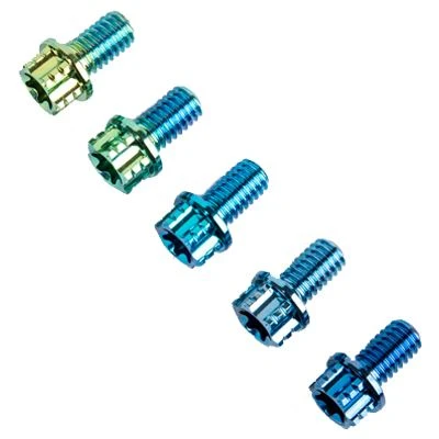 M6 X 10 Titanium Alloy Torx Flange Bolts