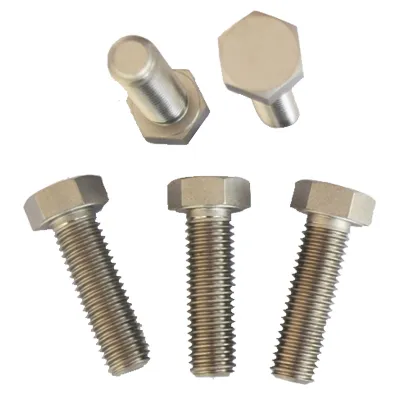 น็อตโลหะผสมไททาเนียม GR1